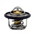 HEPU TM1329 - Thermostat, liqiuide de refroidissement