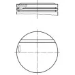 Piston MAHLE [002 16 00]