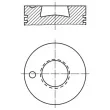 Piston MAHLE [004 66 00]