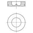 MAHLE 009 61 00 - Piston