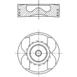 Piston MAHLE [021 PI 00129 000]