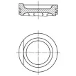 Piston MAHLE [029 88 00]