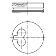 Piston MAHLE [029 96 02]