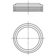 Piston MAHLE [039 43 00]