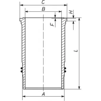 MAHLE 101 WN 16 01 - Chemise de cylindre