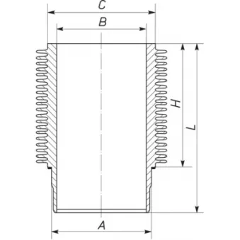 Chemise de cylindre MAHLE 101 WR 12 00