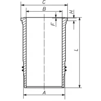 MAHLE 209 WN 21 00 - Chemise de cylindre