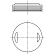 MAHLE 504 29 00 - Piston