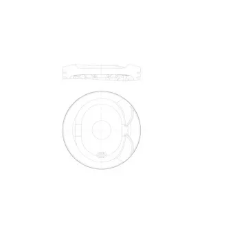 Piston MAHLE 607 81 00