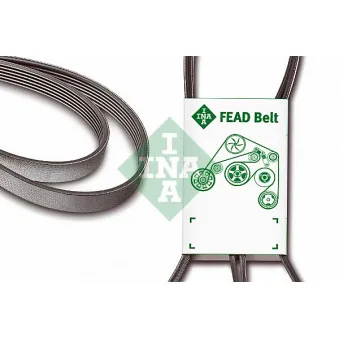 Courroie trapézoïdale à nervures INA OEM YF0915908