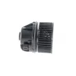 MAHLE AB 250 000P - Pulseur d'air habitacle