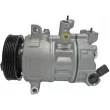 MAHLE ACP 1 000P - Compresseur, climatisation