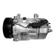 MAHLE ACP 1031 000P - Compresseur, climatisation