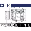 MAHLE ACP 106 000P - Compresseur, climatisation