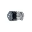 MAHLE ACP 1060 000S - Compresseur, climatisation