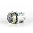 MAHLE ACP 1112 000P - Compresseur, climatisation