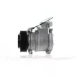 MAHLE ACP 116 000S - Compresseur, climatisation