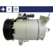 MAHLE ACP 12 000S - Compresseur, climatisation