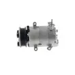 MAHLE ACP 1330 000P - Compresseur, climatisation