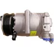 MAHLE ACP 1366 000P - Compresseur, climatisation