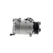MAHLE ACP 1393 000P - Compresseur, climatisation