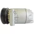 MAHLE ACP 161 000S - Compresseur, climatisation