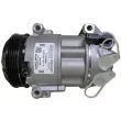 MAHLE ACP 162 000P - Compresseur, climatisation