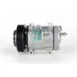 MAHLE ACP 165 000P - Compresseur, climatisation