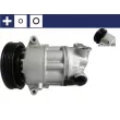 MAHLE ACP 171 000S - Compresseur, climatisation