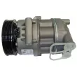 MAHLE ACP 189 000P - Compresseur, climatisation