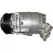 MAHLE ACP 454 000P - Compresseur, climatisation
