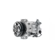 MAHLE ACP 490 000P - Compresseur, climatisation