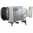 MAHLE ACP 509 000P - Compresseur, climatisation