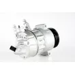 MAHLE ACP 6 000P - Compresseur, climatisation