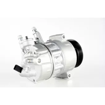 MAHLE ACP 6 000P - Compresseur, climatisation