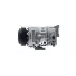 MAHLE ACP 661 000P - Compresseur, climatisation