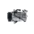 MAHLE ACP 665 000P - Compresseur, climatisation