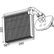 MAHLE AE 100 000P - Evaporateur climatisation