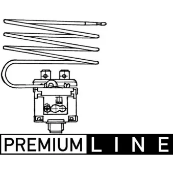 Thermocontact, ventilateur MAHLE ASW 46 000P pour MERCEDES-BENZ AXOR 2 1833, 1833 L, LL - 326cv