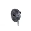 MAHLE CFC 12 000P - Embrayage, ventilateur de radiateur