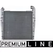 MAHLE CI 100 000P - Intercooler, échangeur