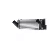 MAHLE CI 149 000P - Intercooler, échangeur