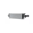 MAHLE CI 480 000P - Intercooler, échangeur