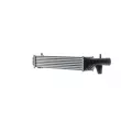 MAHLE CI 516 000P - Intercooler, échangeur