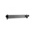 MAHLE CI 516 000P - Intercooler, échangeur