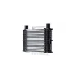 MAHLE CI 545 000P - Intercooler, échangeur