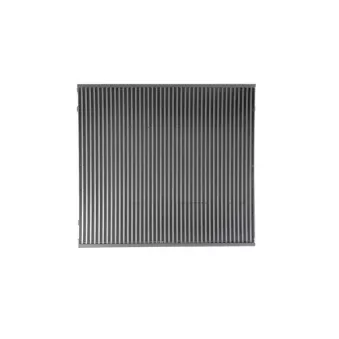 Faisceau, refroidisseur intermédiaire MAHLE OEM A9425010901