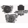 MAHLE CP 104 000P - Pompe à eau