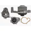 MAHLE CP 177 000P - Pompe à eau