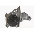 MAHLE CP 213 000P - Pompe à eau